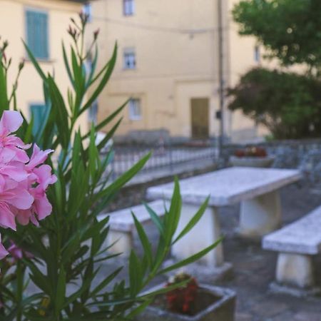 Casa Con Giardino In Mugello A 30 Minuti Da Firenze "Soleluna" Osteria di Novoli Extérieur photo